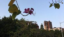 出来透透气的心情说说 出来透气心情语录