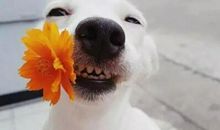 期末考试搞笑段子 期末考试逗比的朋友圈