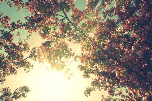 美丽的春天让人开心