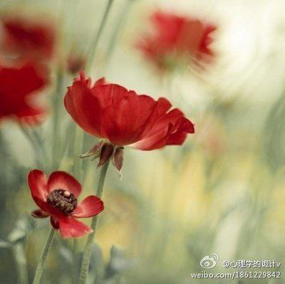 以下是古人为大家准备的感激之词