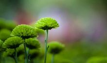 世界上最贵的是亲情的句子