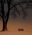 本来是为了避免失望