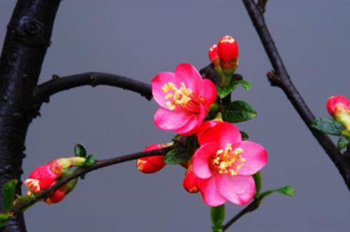 希望每个人都喜欢