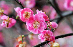 可以保持彼此的状态