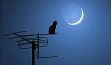 最伤感的话：你教我爱上你，但却忘了教我遗忘