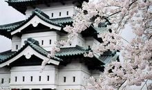 优美有韵味的句子