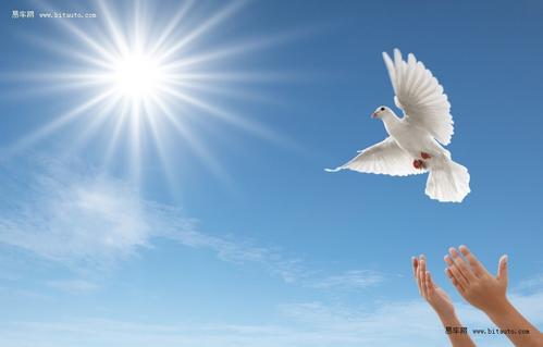 有梦想的人是受人尊敬和令人羡慕的