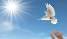 关于梦想的名人名言