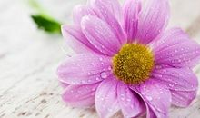 中午发朋友圈的说说 午休怎么发朋友圈的句子