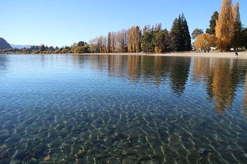 湖水清澈