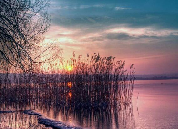 我的心情和吃蜂蜜一样甜