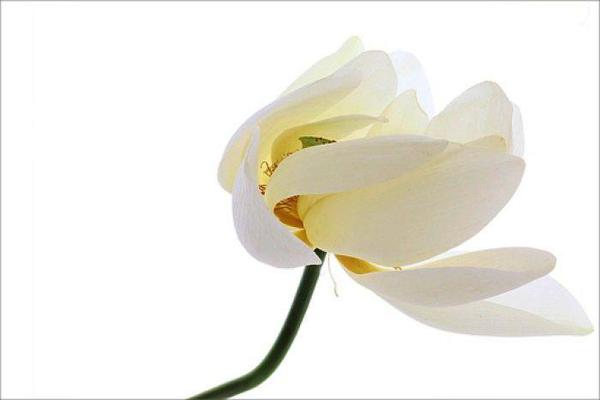 他的生与死：苦涩