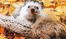 笑死人的短句大全