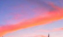 拼搏奋发向上励志口号