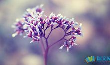 培养优秀宝宝经典要学会的五句话