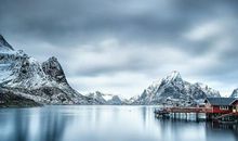 关于保护环境的优美句子