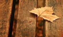 一句话经典语录第一期