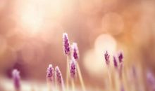 关于心酸的句子