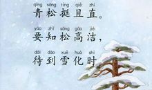 描写青松的诗句