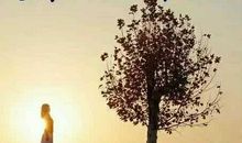 传递正能量语录