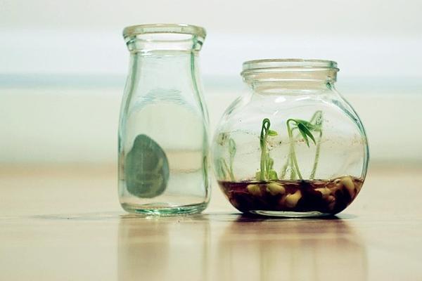 第19号经典语录     1