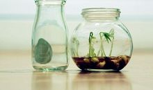 经典语录第十九期