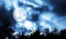 描写月光的优美句子