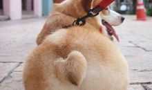 2019流行搞笑句子最流行的幽默说