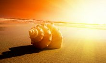 关于辛苦的句子