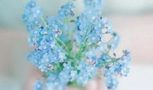 早安努力的激励语录 激励自己早安励志语录