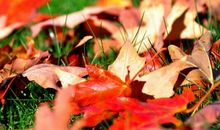 关于安全感的句子