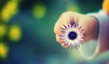 女人最好的状态语录说说