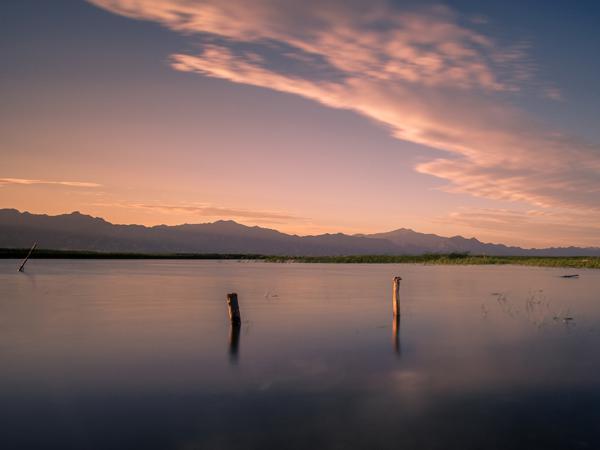 迎来了明媚的春天