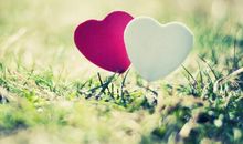 2020感慨友情的句子汇总