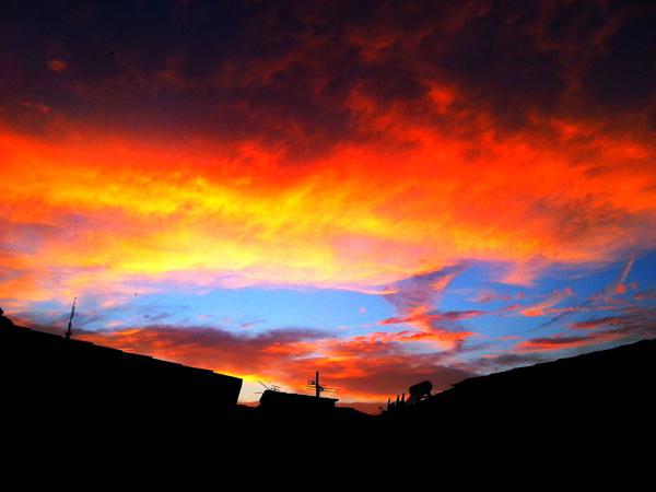 可以预防感冒和中暑