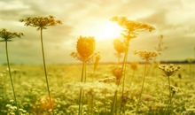 关于喝酒的经典句子