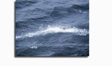 人生有太多心酸的句子