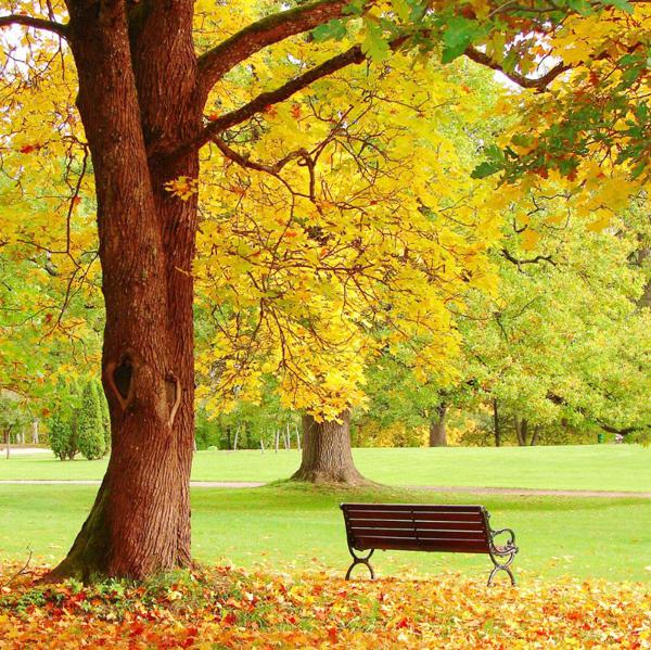 组建一支金牌队伍