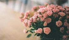 打呼噜发朋友圈的说说 呼噜声睡不着幽默说说