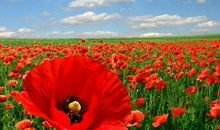 激励的团队口号大全