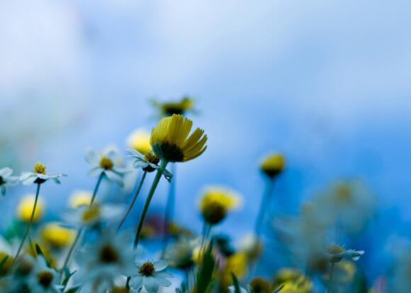 就像一条长长的彩带伸向天空