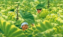 菊次郎的夏天经典台词