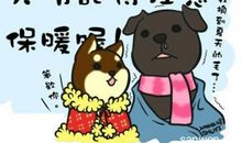 最新冷天气搞笑说说