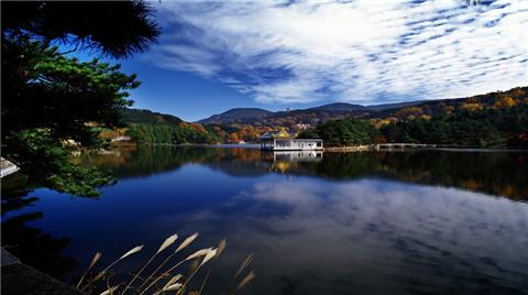 我在纸上把我的想法写在你身上