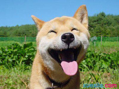 总是有无数的林则徐站在后面