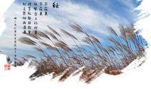 关于思秋的思念句子