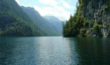 形容人傻的搞笑句子