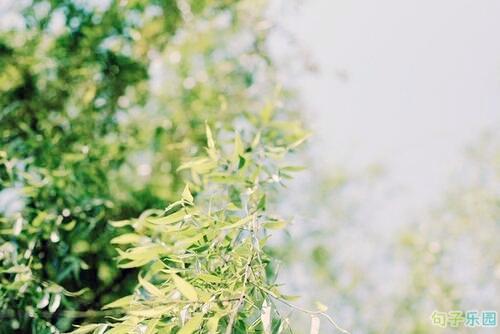 没有在崩溃边缘保持微笑的人