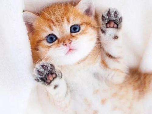 一个人只有在全心依靠他的人面前才能风骚