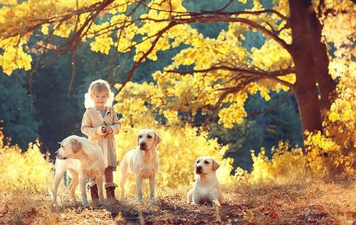 编辑汇编了一些有关婴儿在阳光下快乐的句子